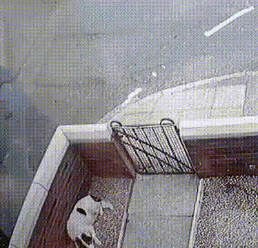 美女你这衣服穿的不对吧,下面都露出来了,网友:她是故意的!