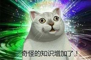 油箱加满“油耗油”?据说费钱又费油