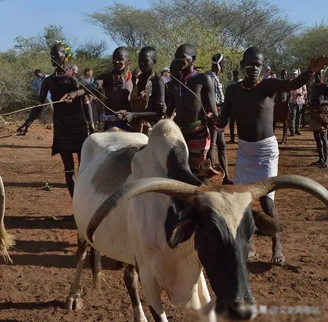 将要消失的非洲部落,女人以“赤裸”为美,大部分男人活不到15