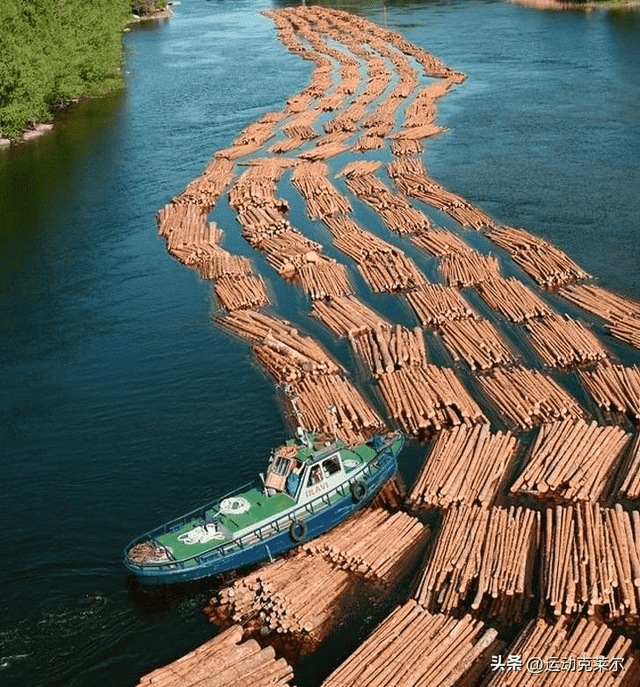 30张日军暴行照片,女子脱衣服被日本人侮辱致死,惨死野外