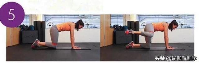 女性为什么一定要练臀?附6个美臀瑜伽动作,打造丰满翘臀