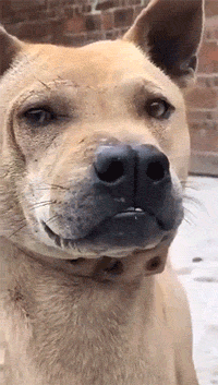 美女你这衣服穿的不对吧,下面都露出来了,网友:她是故意的!