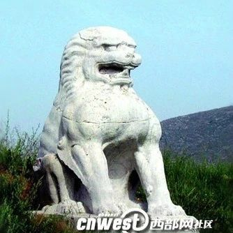寻“狮”启示!陕西礼泉唐建陵石狮被盗,官方发布悬赏通告,最高奖100万