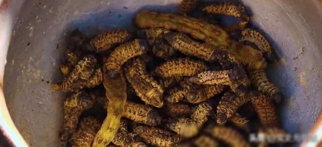 将要消失的非洲部落,女人以“赤裸”为美,大部分男人活不到15