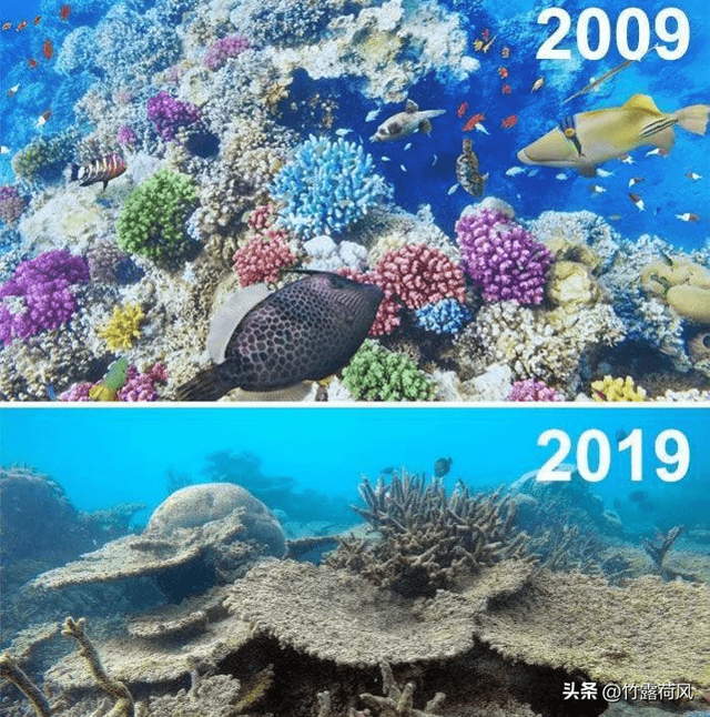 30张日军暴行照片,女子脱衣服被日本人侮辱致死,惨死野外