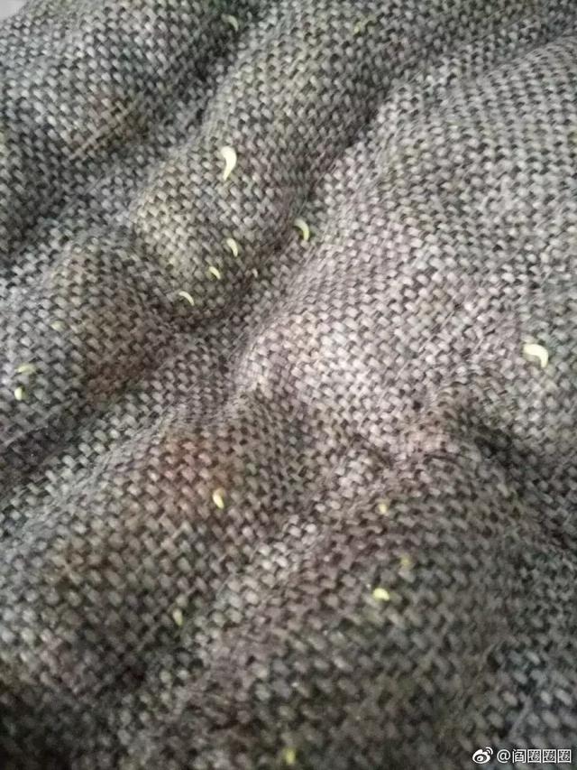 坐垫千万不要随便洗!鬼知道会长出什么