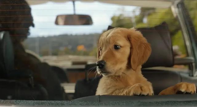 “21岁确诊超雄,但我不是天生坏种”