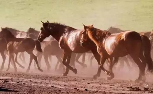 赤峰最漂亮的12个美女,一个比一个惊艳!