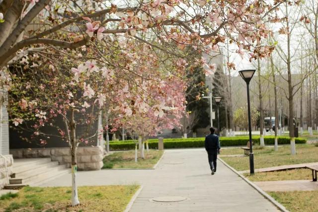 多图预警!北京一高校曝光“最美校花”,神仙颜值惊艳众人!