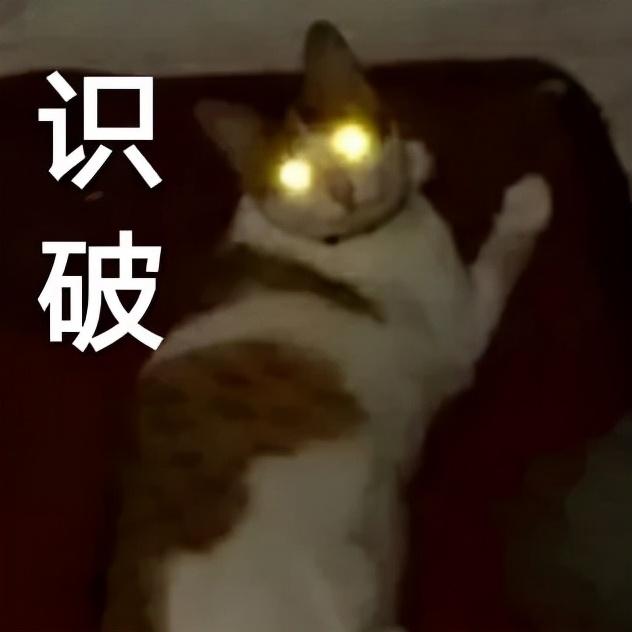 这几款打擦边球的美女陪玩 APP,凉了