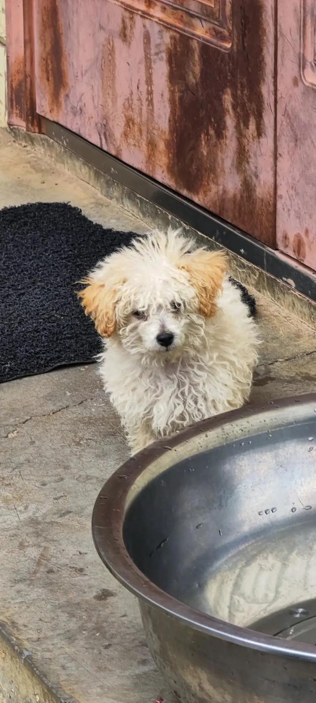 “21岁确诊超雄,但我不是天生坏种”