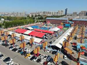 汽车全国巡展(2024山东新能源汽车百场下乡活动,德州济宁双展圆满落幕)