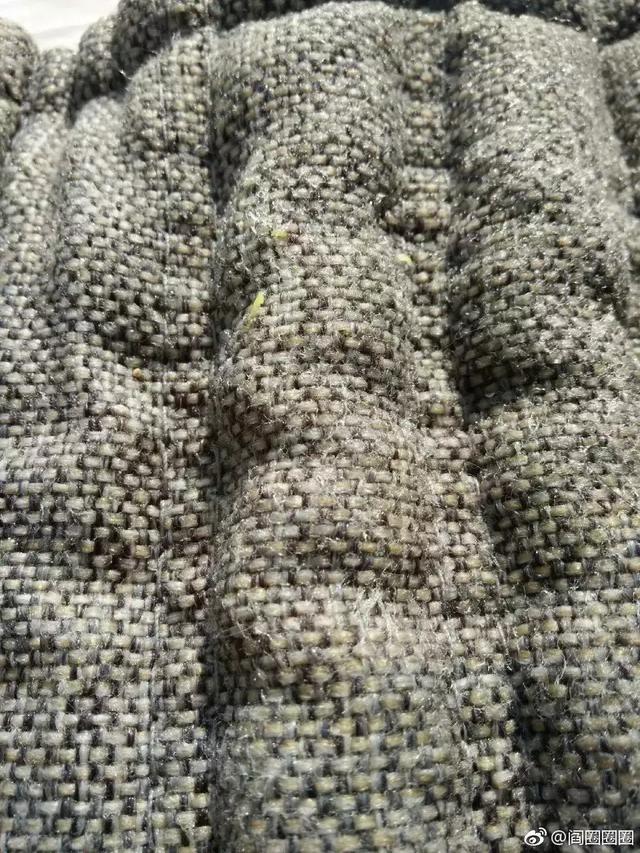 坐垫千万不要随便洗!鬼知道会长出什么