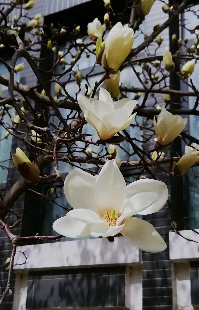 多图预警!北京一高校曝光“最美校花”,神仙颜值惊艳众人!