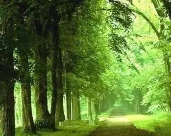 赤峰最漂亮的12个美女,一个比一个惊艳!