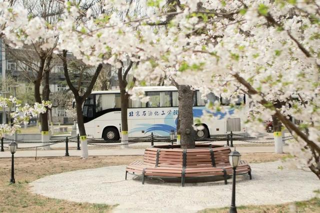 多图预警!北京一高校曝光“最美校花”,神仙颜值惊艳众人!