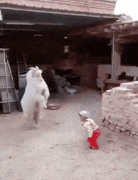 河南男子过年回家相亲，美女技师身材爆表，男子：再美我也不要。