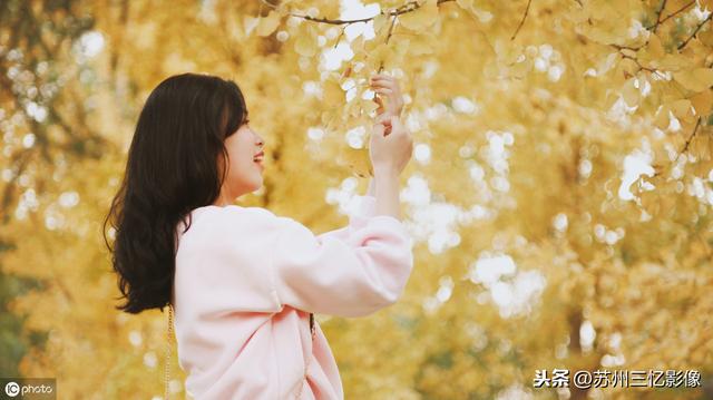 深秋之际,想拍摄一组美美的银杏美女大片的朋友,请看这里