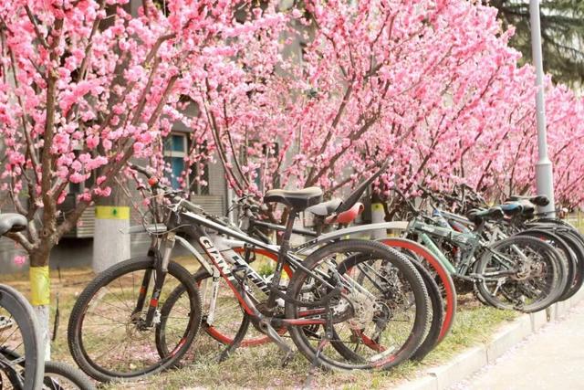 多图预警!北京一高校曝光“最美校花”,神仙颜值惊艳众人!