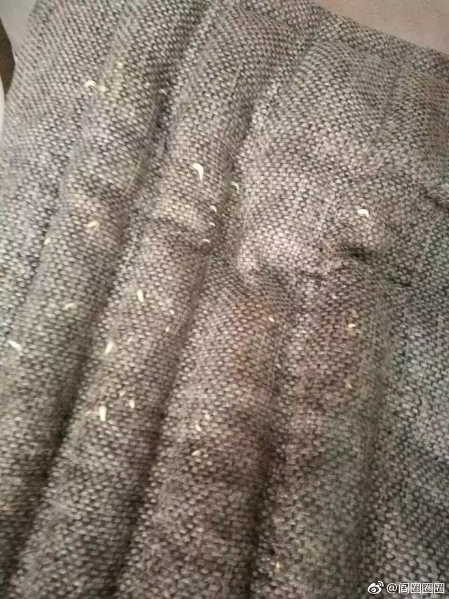 坐垫千万不要随便洗!鬼知道会长出什么