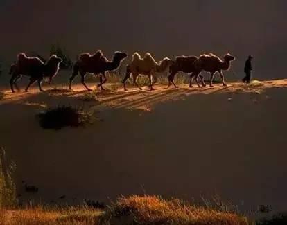 赤峰最漂亮的12个美女,一个比一个惊艳!