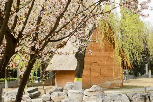 多图预警!北京一高校曝光“最美校花”,神仙颜值惊艳众人!