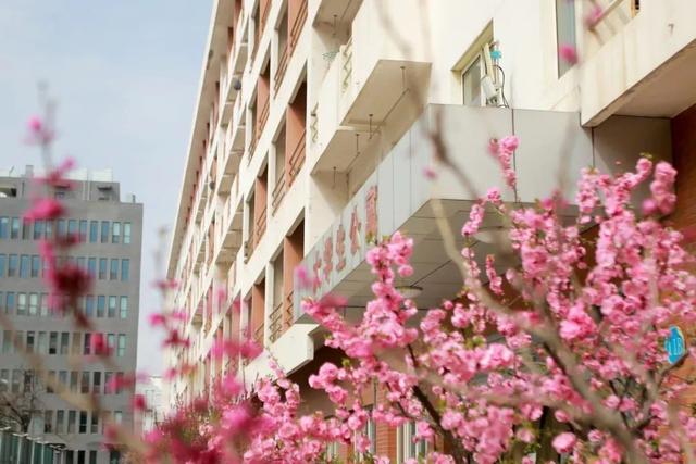 多图预警!北京一高校曝光“最美校花”,神仙颜值惊艳众人!