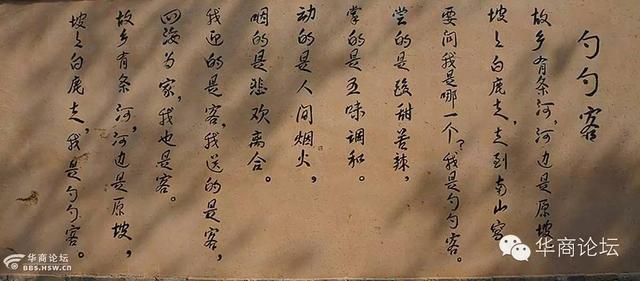 白鹿原这个80岁老太不简单,擀面擀到《舌尖2》