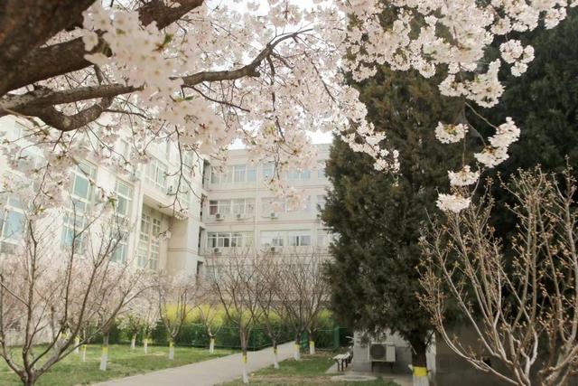 多图预警!北京一高校曝光“最美校花”,神仙颜值惊艳众人!