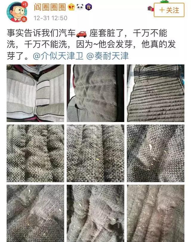 坐垫千万不要随便洗!鬼知道会长出什么