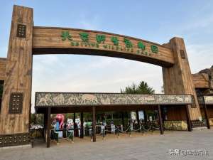 汽车投稿(自驾理想ONE“勇闯”野生动物园是什么感受？)