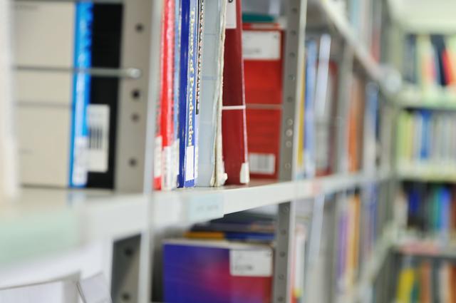 小说:为了隐藏我特殊清理师的身份,我杀了我姐姐