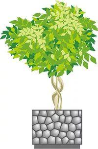 2018年4月好人榜出炉,达州一位美女老师上榜!