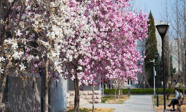 多图预警!北京一高校曝光“最美校花”,神仙颜值惊艳众人!