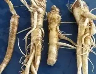 赤峰最漂亮的12个美女,一个比一个惊艳!