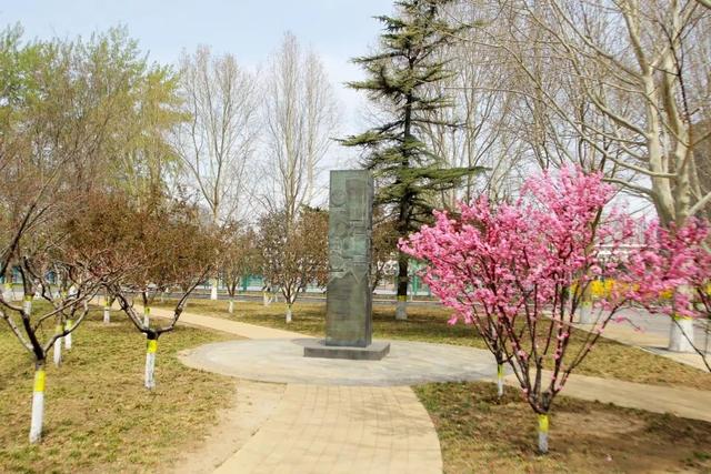 多图预警!北京一高校曝光“最美校花”,神仙颜值惊艳众人!