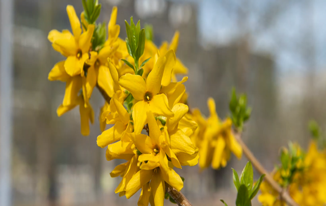 多图预警!北京一高校曝光“最美校花”,神仙颜值惊艳众人!
