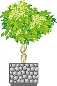 2018年4月好人榜出炉,达州一位美女老师上榜!