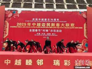 壮乡跨国“村晚”奏响中越友谊欢歌