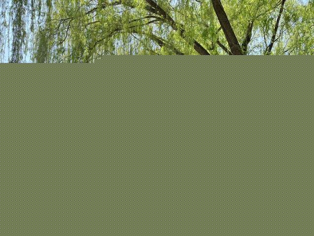 自驾理想ONE“勇闯”野生动物园是什么感受？