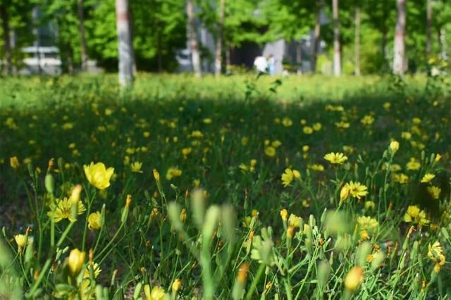 多图预警!北京一高校曝光“最美校花”,神仙颜值惊艳众人!