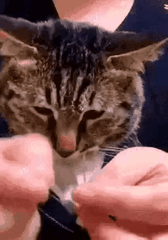 泡温泉偶遇一美女小姐姐，真是清水出芙蓉啊，太美了