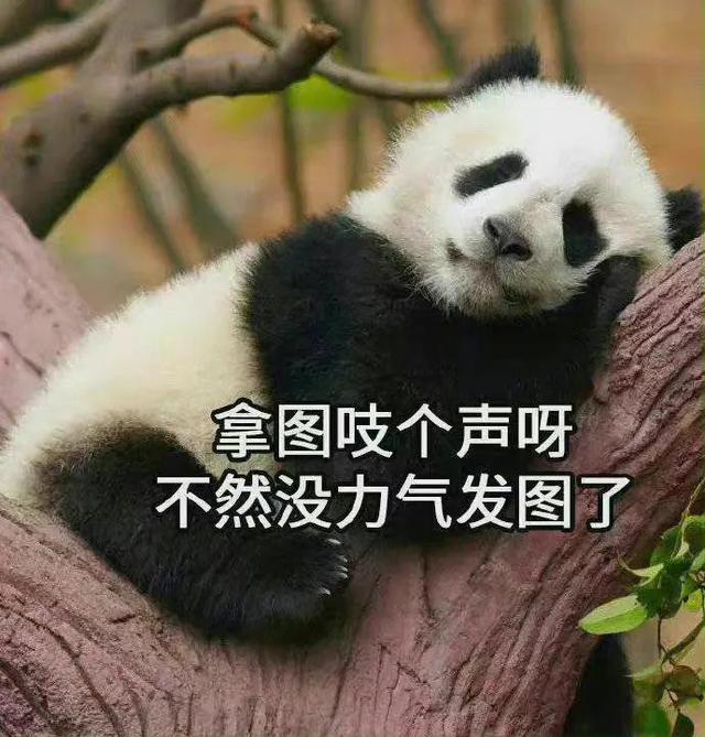 头像｜高冷气质酷酷的女生头像