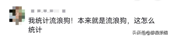 瞒着家里做过很刺激的事情！网友分享每个都很刺激，我直呼好家伙