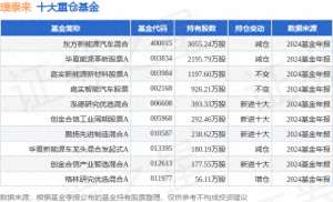 新能源汽车产业基金(2月7日璞泰来涨545%，东方新能源汽车混合基金重仓该股)