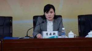 杰德牌汽车(这名官员被人举报后，竟把女上级发展成情妇，送房送车，每月给1万生活费)