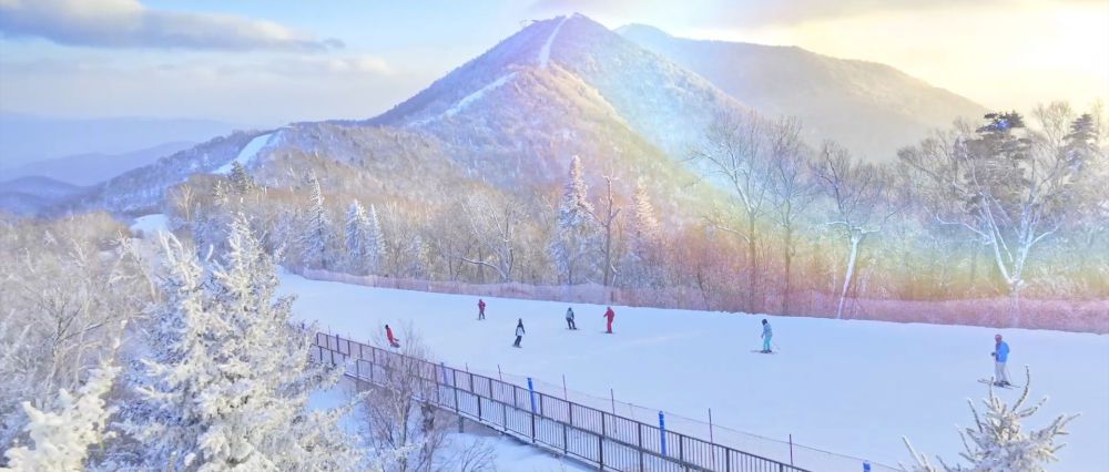 微视频|“尔滨”之冬 热“雪”沸腾