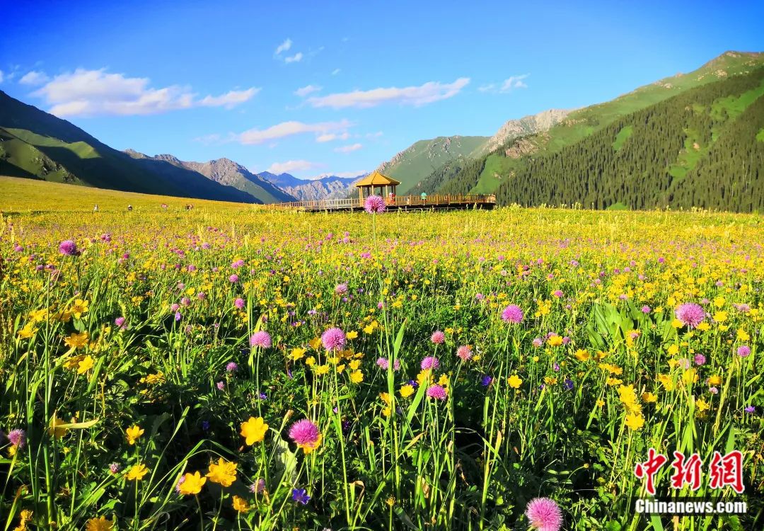 人这一辈子，一定要去一趟“新疆心脏”！