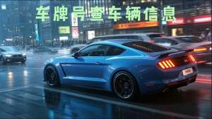 汽车牌照查询车辆信息(有个车牌号怎样查询车辆信息？学会这四种查询方法不用愁)