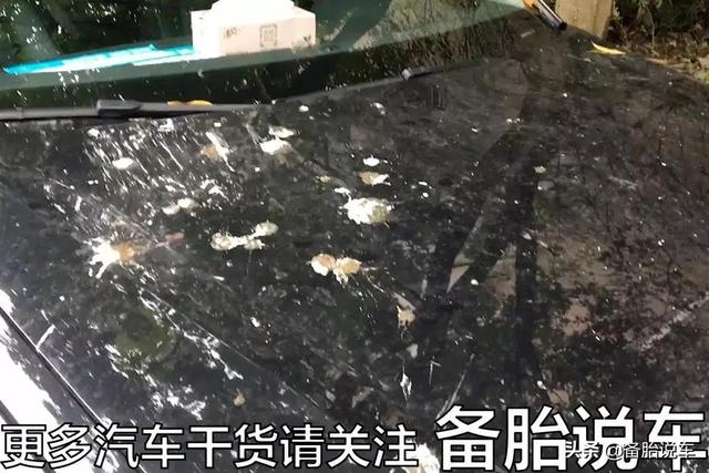 汽车长时间不开，发动机无法启动？做好这几点保证没有问题